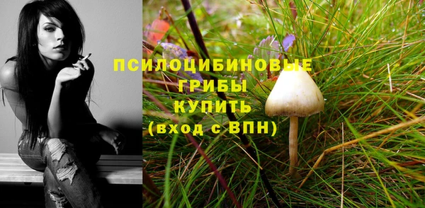 мдпв Новокубанск