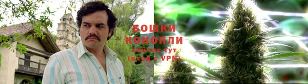 мдпв Новокубанск