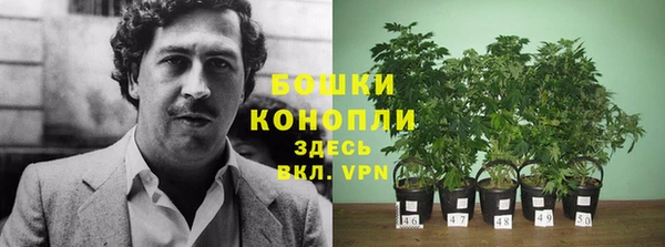 дистиллят марихуана Новозыбков