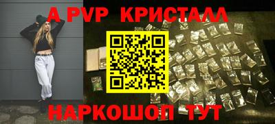 крисы Кингисепп