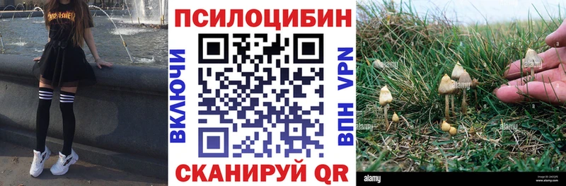 хочу наркоту  блэк спрут ONION  Галлюциногенные грибы Magic Shrooms  Арзамас 