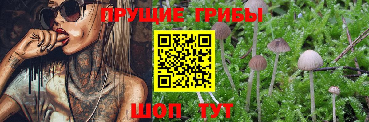 Псилоцибиновые грибы ЛСД Арзамас