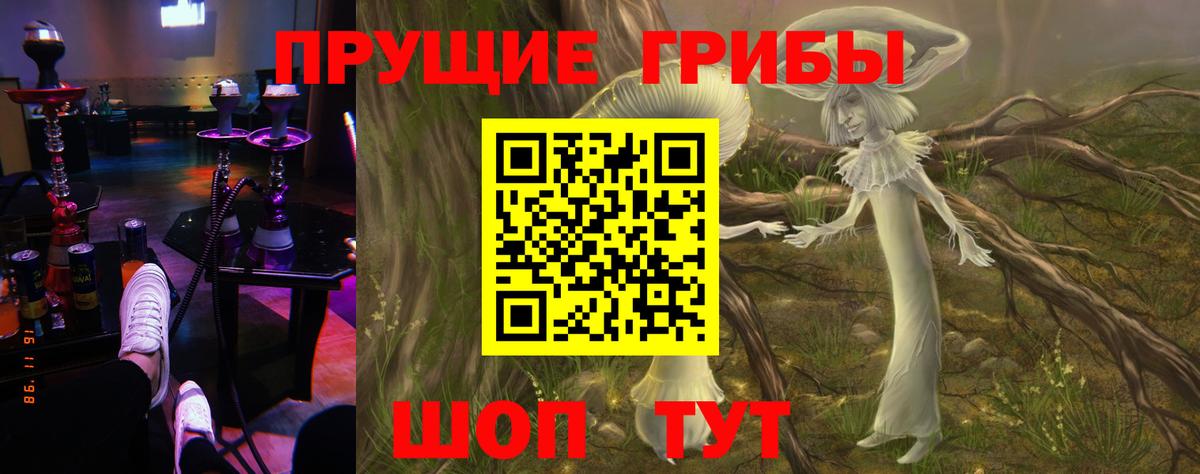 Арзамас  Псилоцибиновые грибы мухоморы  Вход с VPN 